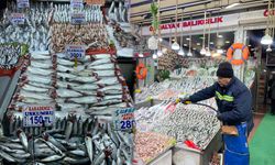 Ankara'da uskumrunun kilosu 750 lira oldu: Balık fiyatları uçuyor