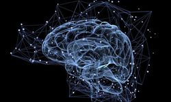 Nörobilimde gelecek 10 yılı belirleyecek ödül Türkiye'ye!