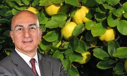 Mahfi Eğilmez etiketi gördü, ekonomiyi özetledi: Bir ayva 35 tl ise, kim ayvayı yiyor?