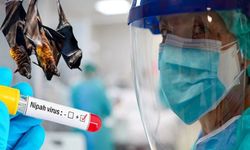 Yeni virüs alarmı: Ölüm oranı %90’a çıkabiliyor