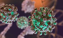 Dünya Sağlık Örgütü, o virüs için uyardı: Araştırma şart!