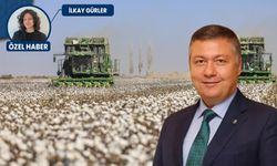Pamuk üretiminde kendimize yetemiyoruz: İthal ediliyor