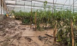 Aşırı yağış Antalya’da tarım alanlarını vurdu