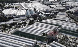 Kuraklık kapıda, çözüm çatıda: Prof. Öztürk’ten çarpıcı tespit