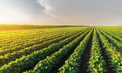 Tarım Kredi yem zamları Meclis’te: Bakanlığa 7 kritik soru