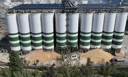 TMO’dan yem sektörüne stratejik adım: 3,9 milyon ton hububat satışa açıldı