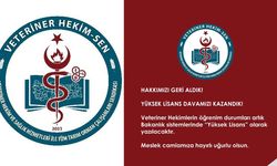 Veteriner hekimlerin hukuk zaferi: Öğrenim durumu bilmecesi sona erdi