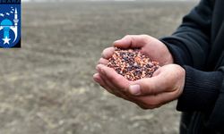 Ankara’da çiftçiye dev destek: 1,5 milyon tohum dağıtılıyor