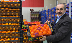 Yaş meyve sebze sektörü Almanya’da ihracat atağında