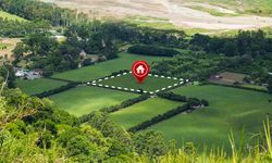 Ankara'da açık artırmayla arsa satılacak: Fiyat 146 milyon lira