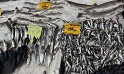 Ankara’da balık fiyatları güncellendi: 2 Nisan tam liste