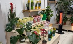Çankaya Belediyesi 14 Şubat'ı es geçmedi: Uygun fiyata çiçek satıyorlar