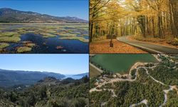 DKMP duyurdu: Korunan alan sayısı 692'ye yükseldi