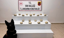 Van ve Hakkari’de uyuşturucu operasyonu: 320 kilo uyuşturucu ele geçirildi