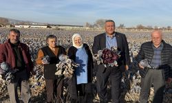 Tarlada çürüyor, tezgahta katlanıyor: Tarımda sistem alarm veriyor