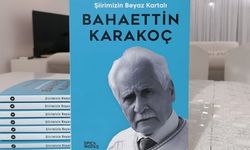 Muhterem Şahin'in yeni kitabı edebiyat çevrelerinden olumlu dönüşler alıyor