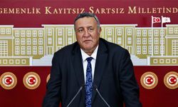 Gürer’den hayvancılık alarmı: İthalat çıkmazı derinleşiyor