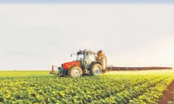 TÜİK: Tarımda girdi maliyetleri Aralık’ta yüzde 33 arttı