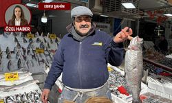 Tezgahta bolluk var, alıcı yok: Esnaftan taze balık tüyoları