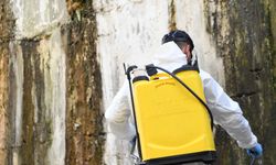 Ankara Mamak’ta haşereyle mücadele: İlaçlama çalışmaları aralıksız sürüyor