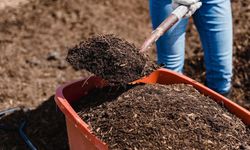 Gübre tartışmaları sürerken resmi açıklama geldi