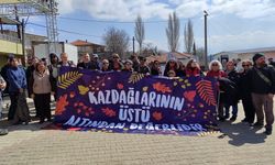 5 bin futbol sahası büyüklüğünde maden: Kaz Dağları bu yükü taşıyamaz