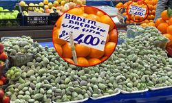 Sezonun ilk çağlası cep yakıyor: Kilosu 400 lira