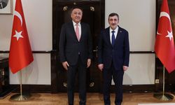 Bakü Zirvesi ve Türk dünyasında birlik Ankara'da ele alındı