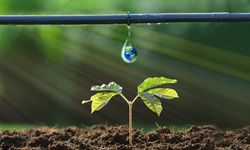 Ankara’da çiftçilere yüzde 50 hibeli damla sulama desteği verilecek