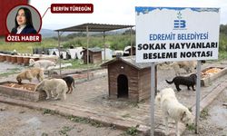 Edremit’te toplu hayvan ölümleri iddiası: Zafer Partisi’nden suç duyurusu adımı