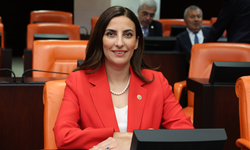 CHP’li Rızvanoğlu: ÇED kararlarında yeşil maske ile algı yönetimi yapılıyor