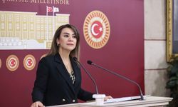 CHP’li Taşcıer: “Öğretmeni koruyamayan siyasal tercihler yetişkindir”