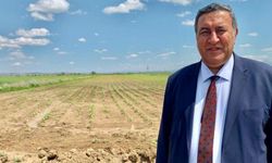 Çiftçinin elektriği kesiliyor: 4 yılda 75 bin abone karanlıkta kaldı