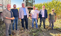 Gürer’den TMO’ya sert tepki: Çiftçiden ucuza al, ithali pahalıya sat