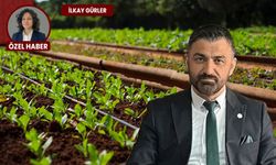 Uzmandan pestisit uyarısı: Tamamen arındırmak mümkün değil