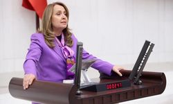 CHP’li Dinçer: Bu toprakları şirketlere değil, çocuklarımıza bırakacağız