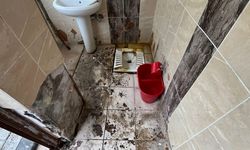 Ankara'daki Soğuksu Milli Parkı belediyeye devredildi: Görüntüler iyi değil