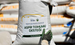 Büyükşehir’den üreticiye destek: Şereflikoçhisar’da aspir tohumu dağıtıldı