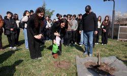 Yürüyen Köşk’ün çınarı Anıtkabir’de yeniden hayat buldu