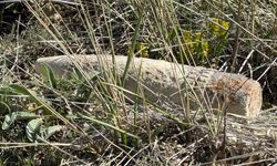Mantar ararken kabus yaşadı: Ankara’da patlamamış mermi bulundu