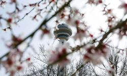 Yağışla başlayan hafta güneşle devam edecek: Ankara'da sıcaklık yükseliyor