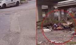 Bayraklı’da isyan ettiren görüntü: Sokak çöpten geçilmiyor!