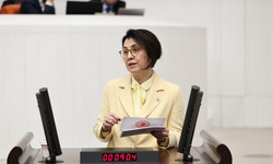 CHP’li Yaman’dan doğum izni düzenlemesine destek: Ek adımlar şart