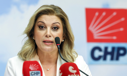 CHP’li Asu Kaya’dan doğum izni düzenlemesine tepki: Kadını eve iten anlayış