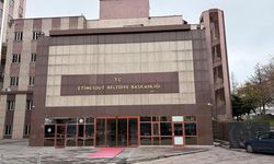 Etimesgut'ta sokak köpekleri sahiplendirilecek: Belediye sokaklara afiş asıyor