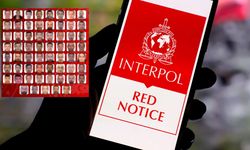 Kırmızı bültenle arananlar tek tek yakalandı: 61 suçlu Türkiye’ye iade edildi