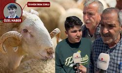 Ankara'da kurban sezonu erken açıldı: Fiyatlara yüzde 25 zam var