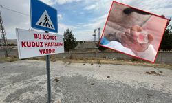 Kuduz vakaları arttı: 4 vakadan 3’ü ölümle sonuçlandı