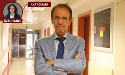 Kene mevsimi başladı: Yanlış müdahale tehlikeyi büyütüyor