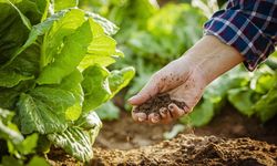 ABB’den 4 günlük ücretsiz organik tarım kursu